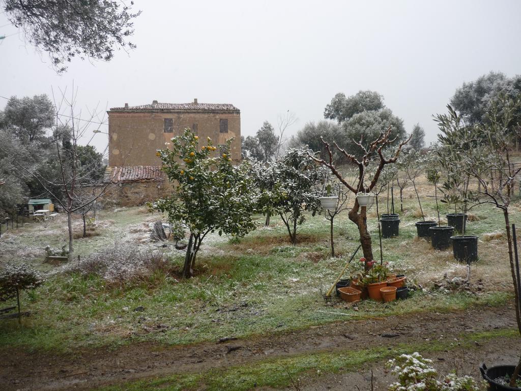 B&B Pietra-Monetta Pietra Moneta Exteriér fotografie
