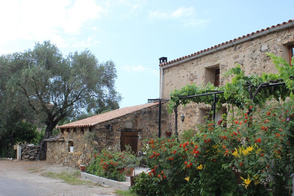 B&B Pietra-Monetta Pietra Moneta Exteriér fotografie